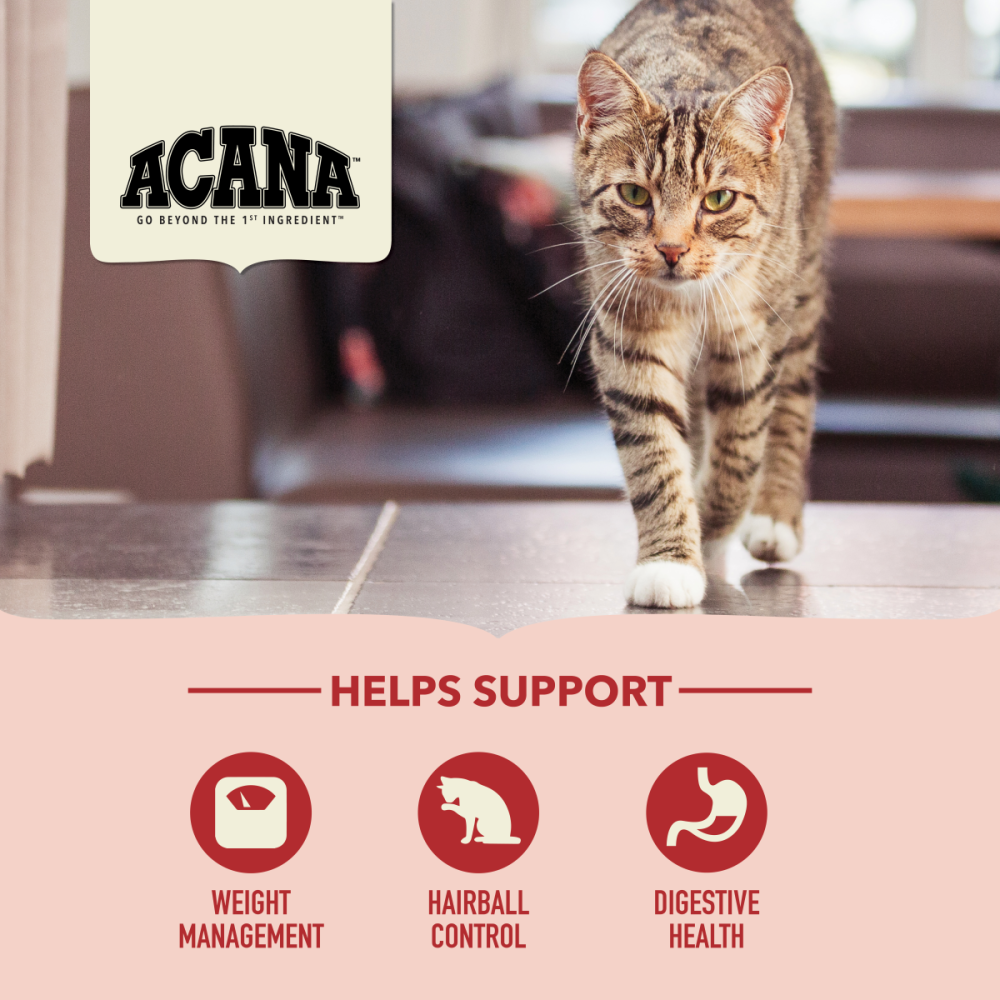 Acana Indoor Entree Cat 1,8 Kg