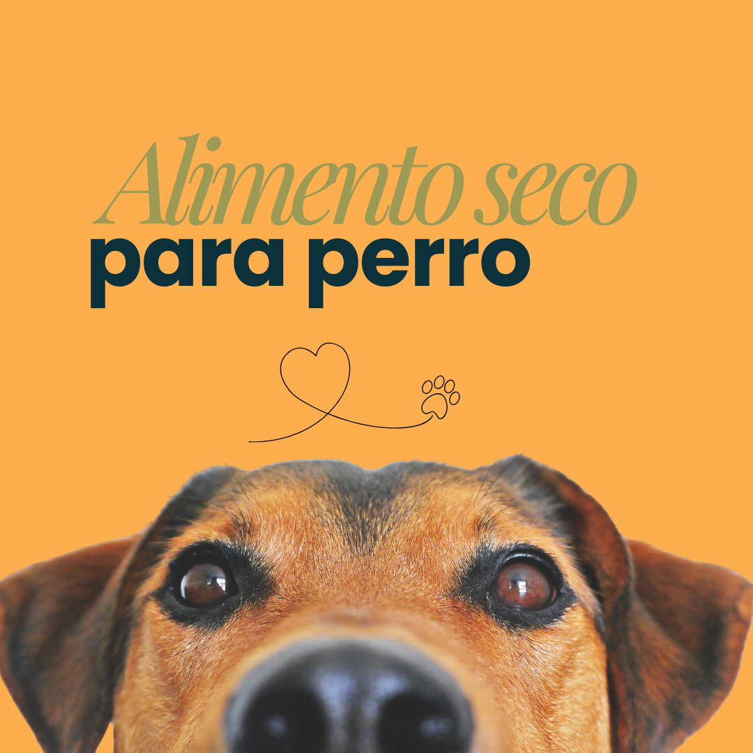 Alimento seco para perros