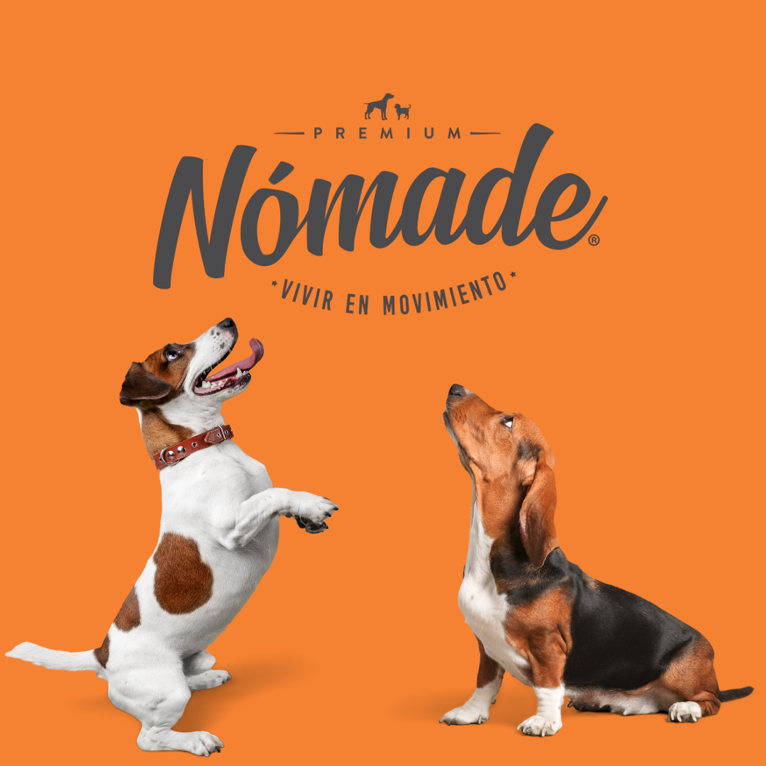 Alimento Nomade Perro