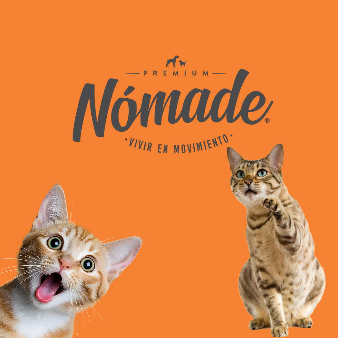Alimento Nomade Gato